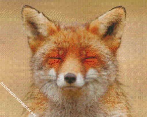 happy fox diamond paintings