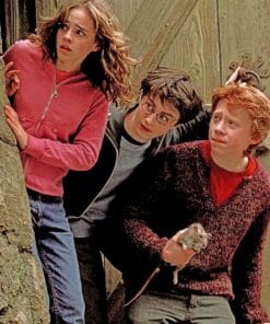 Harry Hermione And Ron paint by numbers