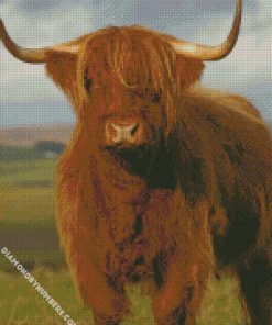 highlander cow diamond paintings