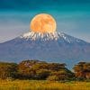 kilimanjaro Mountain Paint By Numbers