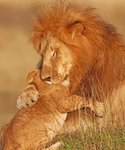 Lion Father And Son paint by numbers