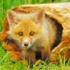 Little Red Fox paint by numbers