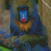 mandrill monkey diamond paintings