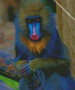 mandrill monkey diamond paintings