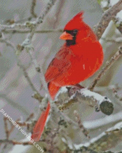 northern cardinal bird on tree diamond painting
