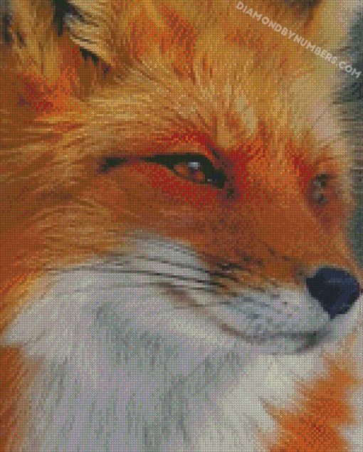orange fox face diamond painting