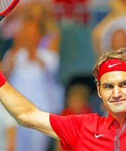 Roger Federer paint by numbers