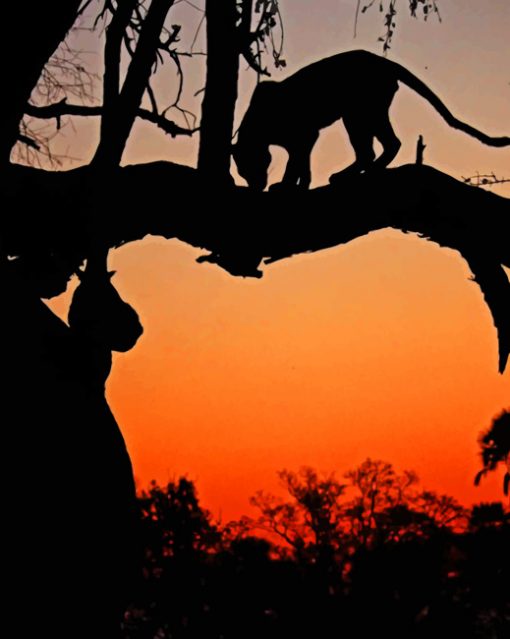 Silhouette Of Leopard paint by numbers