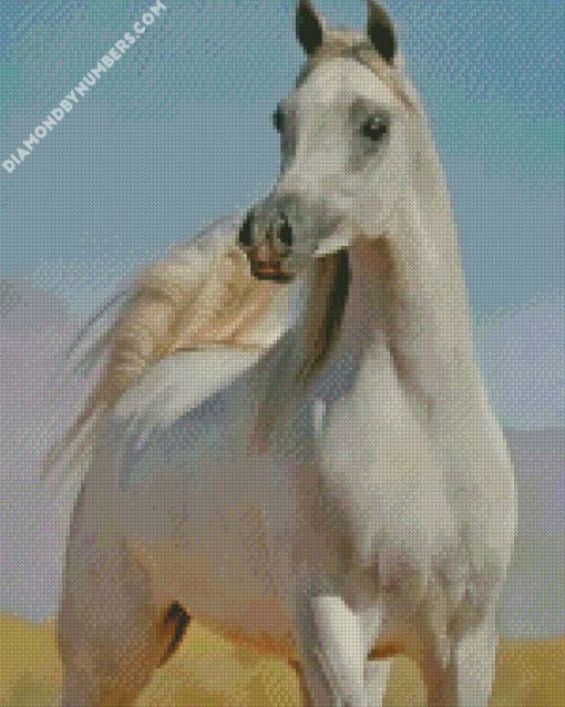 stallion horse diamond painting