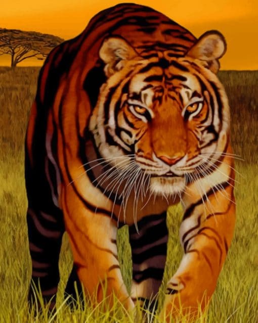 Tiger At The Sunset paint by numbers
