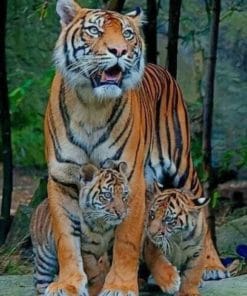Tiger Mommy And Cubs paint by numbers
