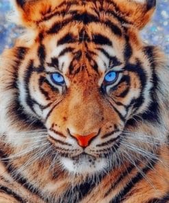 Tiger With Blue Eyes paint by numbers