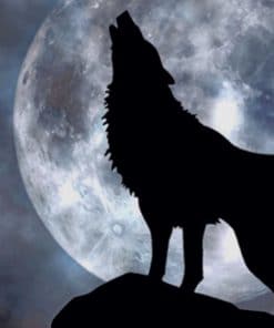 Wolf Silhouette At The Perfect Moon paint by numbers