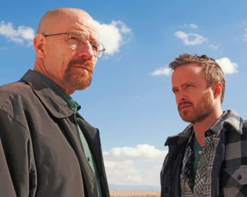 Breaking Bad Duo paint by numbers