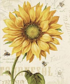 Sunflower Flower Paint By Numbers