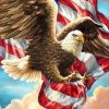 Flag American Eagle paint by numbers