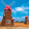 Brown Windmills Paint By Numbers