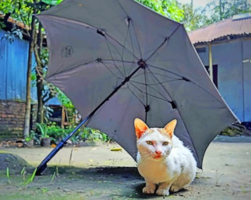Cat Under Umbrella paint by numbers