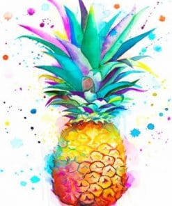 Colors Splash Pineapple paint by numbers