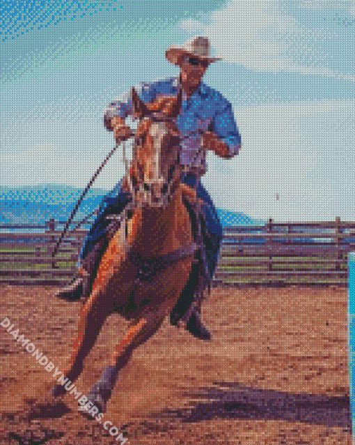 Cowboy And His Horse diamond painting