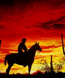 Cowboy Shodow In Sunset paint by numbers