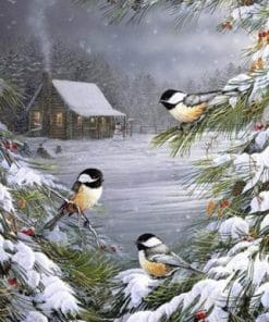 Winter Bird Paint by number