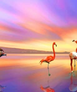 Flamingos At Sunset Paint By Numbers