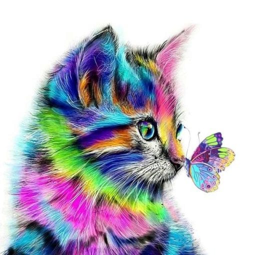 Colored Cat And Butterfly - Animals 5D Diamond Painting - DiamondByNumbers  - Diamond Painting art