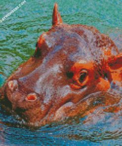 Hippos Head diamond paintings