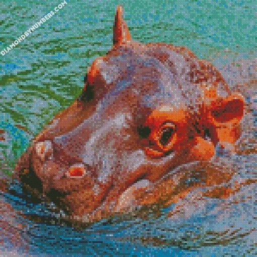 Hippos Head diamond paintings