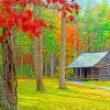 Isolated Wooden Cabin Paint By Numbers