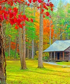Isolated Wooden Cabin Paint By Numbers