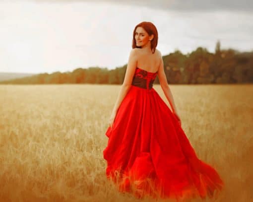 Lady In Red Dress paint by numbers