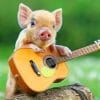 Little Pig With Guitar paint by numbers