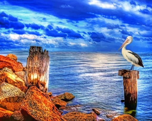 Ocean Pelican Paint By Numbers