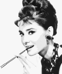 Charming Audrey Hepburn Paint By Numbers
