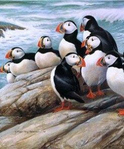 Puffins On Rock Piant by numbers