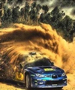 Rally Car paint by numbers