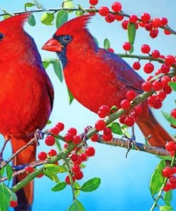 Red Cardinal Paint By Numbers