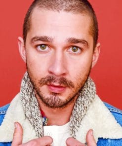 Shia Labeouf Paint By Numbers