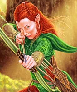 Tauriel Hobbit paint by numbers