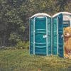 Teddy Bear In Cabin paint by numbers