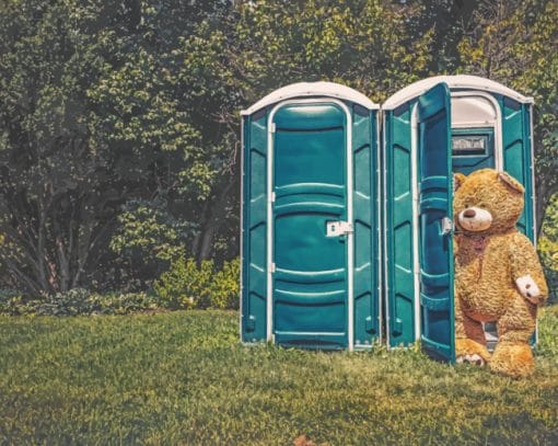 Teddy Bear In Cabin paint by numbers