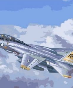 Tomcat Plane paint by numbers