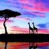 Twilight Giraffe Paint By Numbers