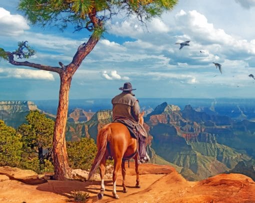 Grand Canyon And Cowboy Paint By Numbers