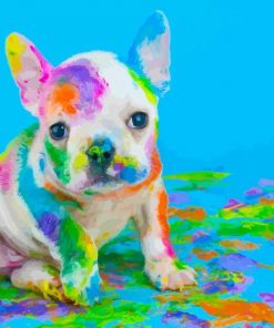 pgmenet colorful dog paint by numbers