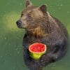 Black Bear Eating Fruit paint by numbers