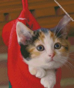 cute cats in christmas socks diamond paintings