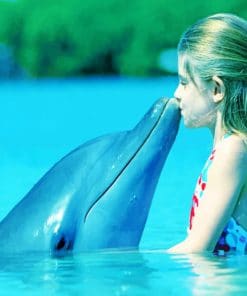 Girl Kissing A Dolphin paint by numbers